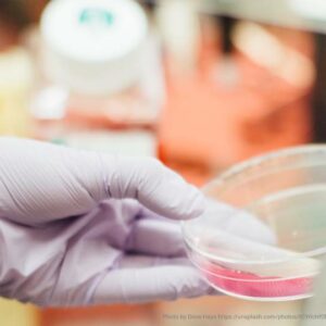 Provas de Mestrado em Biotecnologia (Universidade de Aveiro)